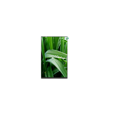 good price P101DEA-AZ1 10.1 inch 800*1280 500 cd/m2 LCD Panel Screen online