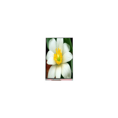 good price PJ052IC-01C 5.2 inch 1080*1920 LCD screen Display Panel online