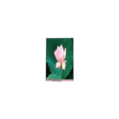 good price 1080*1920 PJ055IA-14A 5.5 inch 60Hz LCD screen LCD Module online