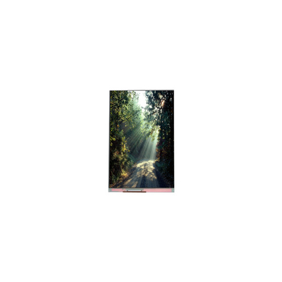 good price 5.2 inch 1080*1920 PM052IC-01L 1000:1 LCD screen Panel online