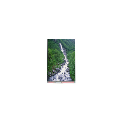 good price Hot Sell 4.7 inch PP047IA-03A 540*960 LCD Panel screen online