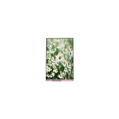 good price 1080*1920 5.5 inch PP055IA-03N LCD display Module Panel online