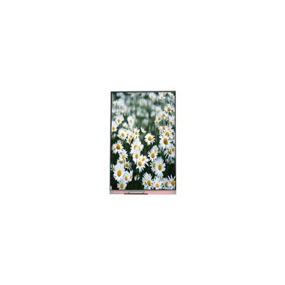 good price original 1440*2560 PP055IA-09A 5.5 inch LCD display Screen online