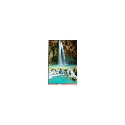 good price NEW 5.5 inch PP055IC-01D 1080*1920 60Hz LCD Screen Monitor online