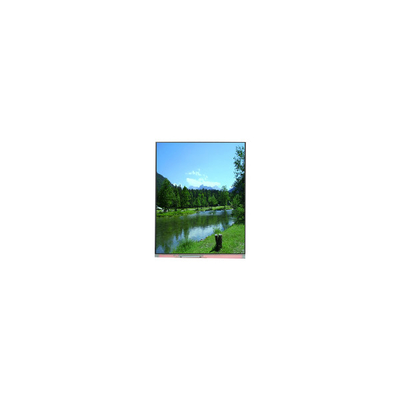 good price PP059JC-01B 1080*2160 5.9 inch LCD Screen New online