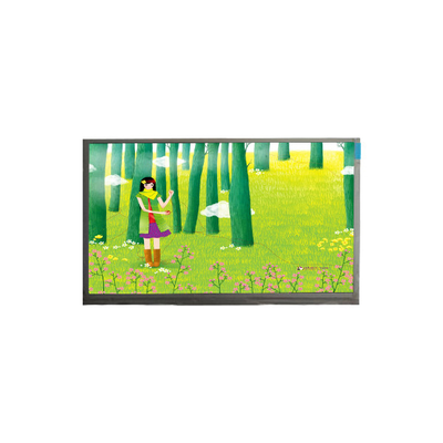 good price S550DJJ-Q01 55.0 inch 3840*2160 LCD Screen Module online