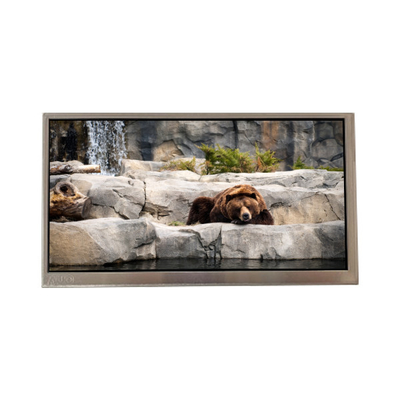 good price C080VAN02.3 8.0 inch WLED LCD Screen Display online