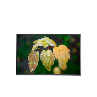 good price M190PW01 VD 19.0 inch 1440*900 tft LCD Module Display online