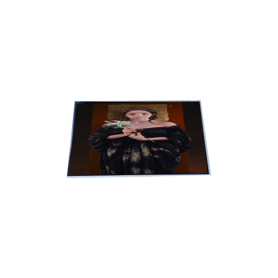 good price N101SAN01.0 10.1 inch a-si TFT Industrial LCD Display Screen online