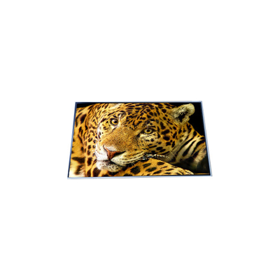 good price P500QVF02.0 50.0 inch 4K LCD Screen Display online