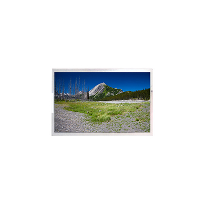 good price P270QAN02.0 CELL 27.0 inch LCD Panel Screen FOR Digital Signage online