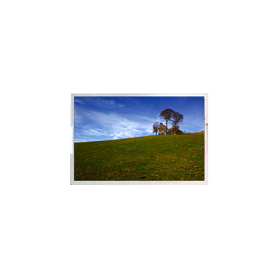 good price MNF601BA1-4 15.6 inch LCD Screen Panel for Laptop online