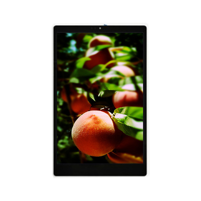 good price New 800*1280 TV101WXU-N91 10.1 inch LCD Display Panel online