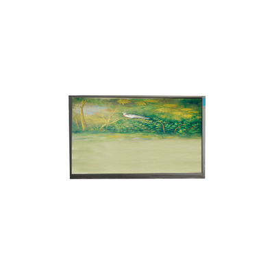good price U062SWR6-0 6.2 inch 720*1600 LCD Screen FOR Mobile Phone online