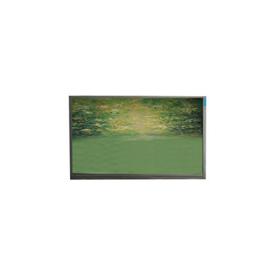 good price Original U063SWR2-0 6.3 inch LCD Display Monitor online