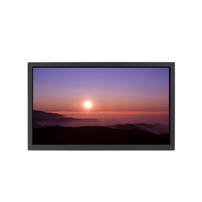 good price QV095Z9Q-N00 9.5 inch 480*1920 LCD Panel LCD Display Screen online