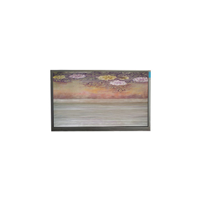good price 6.1 inch TFT LCD Panel U061SWR6-0 lcd screen display panel online