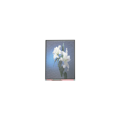 good price C090SWP1-2 9.0 inch 800*480 LCD Screen for Automotive Display online