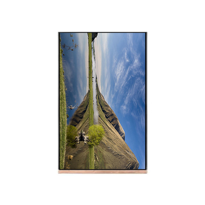good price NV103WUM-N61 10.3 inch 1200*1920 LCD Screen Display For Pad Tablet online