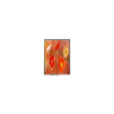good price Original C070AWP9 R0 7.0 inch LCD Display Panel online