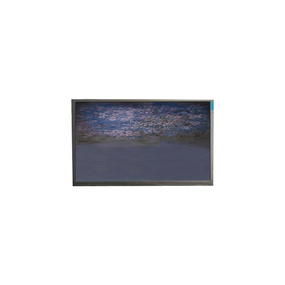 good price U055SWRA-1 5.5 inch lcd screen panel 720*1440 lcd display module online