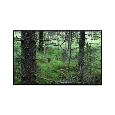 good price TV101WUB-NW1-D9P0 10.1 inch 1200*1920 LCD Panel Display online