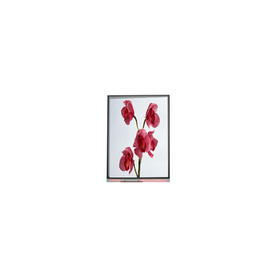 good price 480*960 C060SWY7-0 6.0 inch tft LCD Screen online