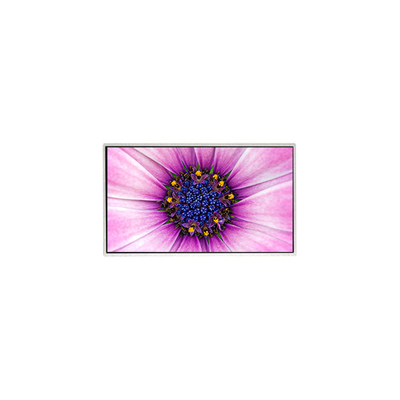 good price 7.0 inch TT070WVM-NW1 800*480 LCD Screen for Home Appliance online
