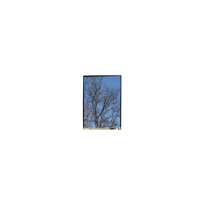 good price 5.5 inch LS055T1SX29 1080*1920 FHD LCD display Panel online