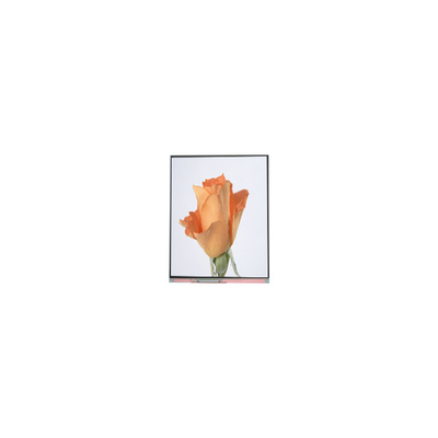 good price 720*1280 C052SWA2-1 5.2 inch LCD Panel Display for Phone online