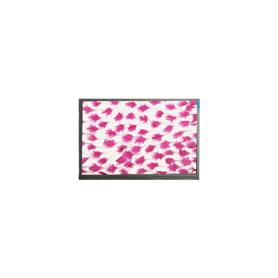 good price 9.0 inch 800*480 LCD Screen Display E090SWP1 R2 LCD panel online