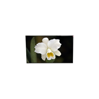 good price Original LP125WF4-SPQ1 12.5 inch TFT LCD Screen online