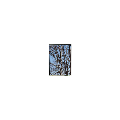 good price LS055T3SX03 5.5 inch LCD Display Screen for Mobile Phone online