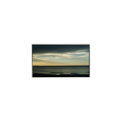 good price TT101WSB-NW0 LCD Panel 10.1 Inch 1024*600 LCD Display online