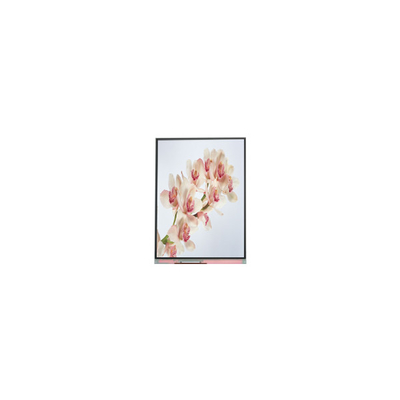 good price C060SWA4-0 NEW 6.0 inch IPS LCD Screen Display online