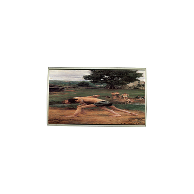 good price LTM236FL01-201 23.6 Inch LCD Screen For Desktop Monitor online