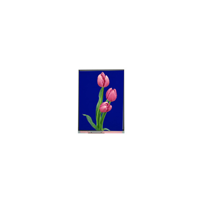 good price C055SWF4 R0 LCD Module 5.5 inch TFT LCD display online
