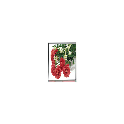 good price 5.5 inch C055SWY2-1 LCD Display Screen for Mobile Phone online