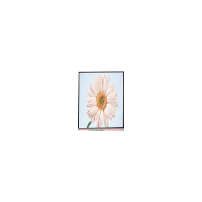 good price new 720*1280 C050HWA5-1 5.0 inch LCD Screen Module online