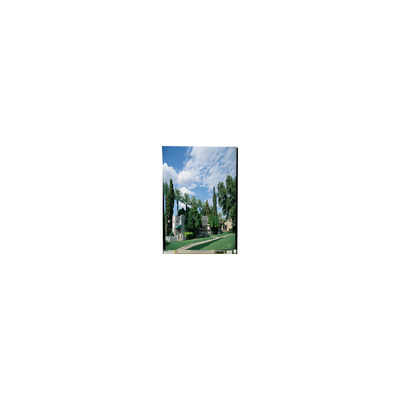 good price LS050T1SC01S 5.0 inch 1080*1920 LCD Screen for Mobile Phone online