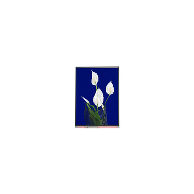 good price Hot Sell 540*960 C054SWN4-0 5.4 inch  LCD Screen Display online
