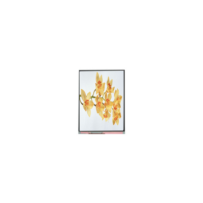 good price C060SWY2-1 6.0 inch 480*854 TFT LCD Screen Display Panel online