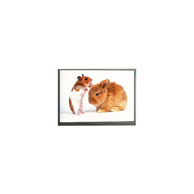 good price PJ061IC-01A 6.1 inch LCD Display 720*1280 LCD Screen online