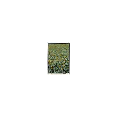 good price 720*1280 LS053K3SX01 5.3 inch tft lcd display LCD Screen for Mobile Phone online