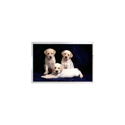 good price Original TM190MFS02 19.0 inch 1440*900 lcd Screen online