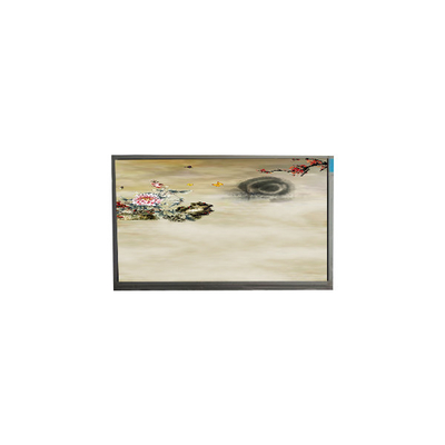 good price P236MWF2 R0 23.6 inch 1920*1080 TFT-LCD Screen Display online