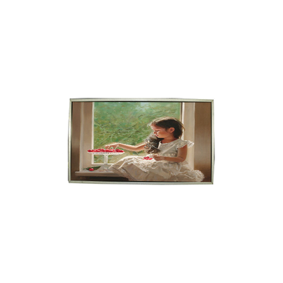 good price 23.0 inch LTM230HT05-V 30 Pins 1920*1080 LCD Screen Panel online