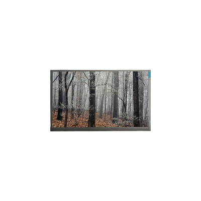 good price MT200LW01 V.0 20.0 inch 30 Pins LCD Panel Display online