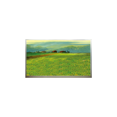 good price N173H6-L04 1920*1080 17.3 inch LCD Screen panel online