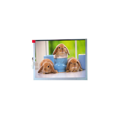 good price New TM070SDH03 800*600 7.0 inch TFT-LCD Screen Panel online